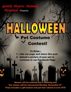 Halloween Pet Costume Contest Flyer