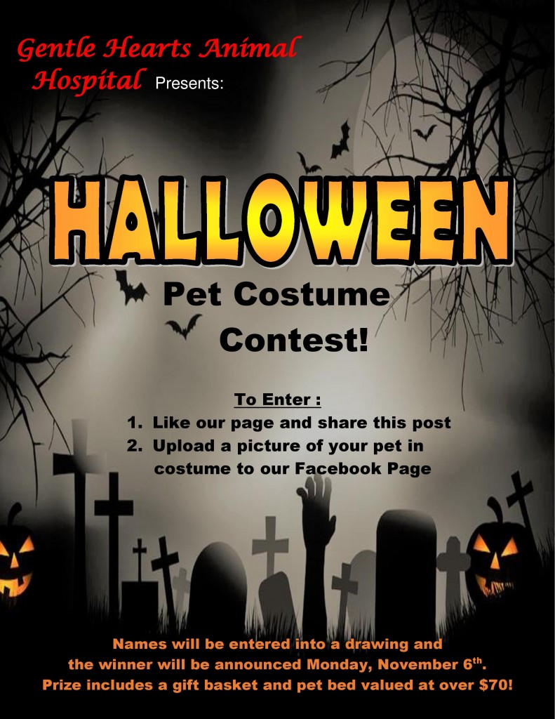 Halloween contest for pets!