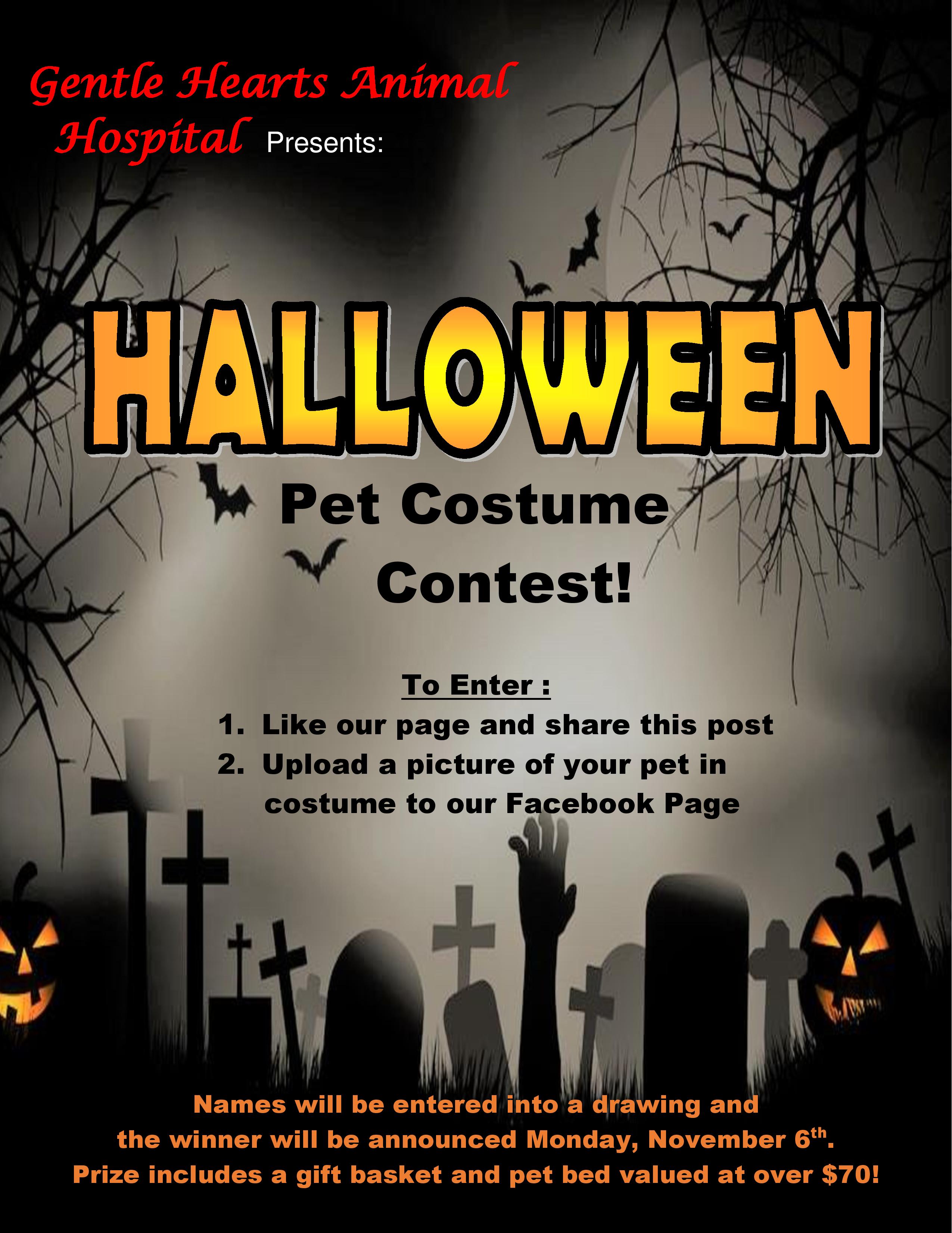 Halloween contest for pets!