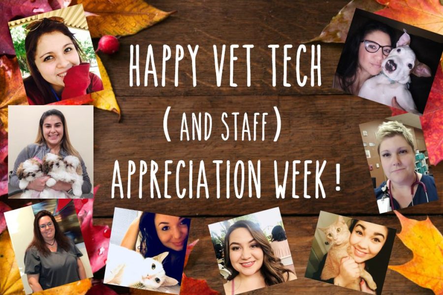 Happy National Vet Tech Week! Gentle Hearts Animal Hospital